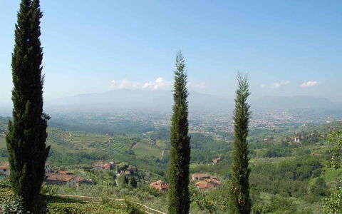 Borgo Antico Marina: Árbol, Hill Station, Vegetación, Los Bosques De Coníferas Tropicales Y Subtropicales, Desierto, Biome, Planta, Planta De La Comunidad, Bosque, Montaña