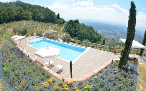 Villa Orchidea: Piscina, Propiedad, Villa, Casa, Bienes Raíces, Edificio, Inmuebles, Vacaciones, Departamento, Ocio
