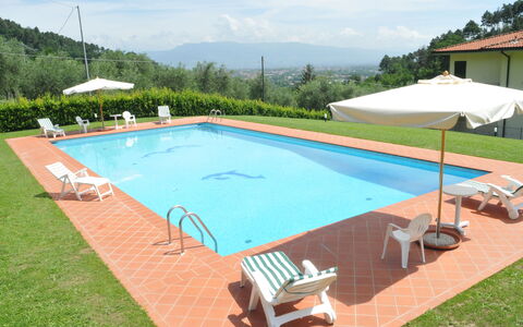 Villa Vaniglia Proprietà: Piscina, Propiedad, Hierba, Ocio, Bienes Raíces, Casa, Sombra, Rectángulo, Edificio, Villa
