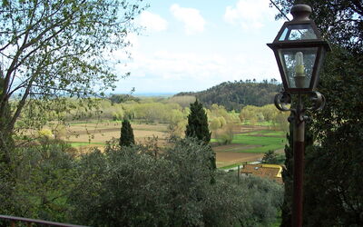 Al Fanucchi