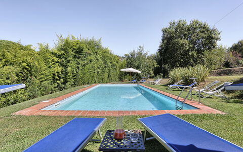Casa Rosa: Piscina, Propiedad, Hierba, Ocio, Bienes Raíces, Árbol, Casa, Patio Interior, Casa, Inmuebles