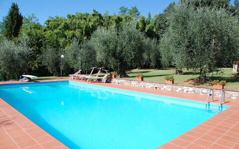 Casa Tonio: Piscina, Propiedad, Ocio, Bienes Raíces, Vacaciones, Hierba, Árbol, Edificio, Casa, Centro De Ocio
