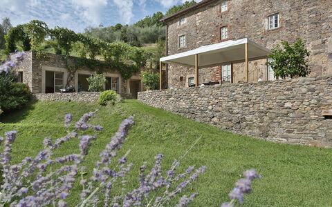 Chiodo: Lavanda, Propiedad, Flor, Casa, Planta, Arquitectura, Pared, Hierba, Edificio, Jardín