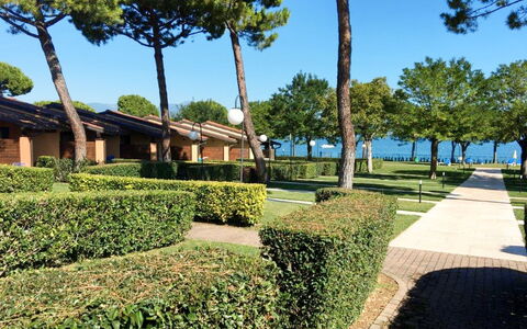 Desenzano 617: Planta, Cielo, Árbol, Vegetación, El Terreno Del Lote, Hierba, Sombra, Diseño Urbano, Ocio, Cobertura