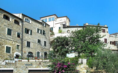 Sole (Slr224) - Cipressa, Liguria, Italia