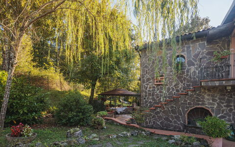 Grande Quercia: Planta, Hoja, Paisaje Natural, Árbol, Edificio, Cielo, Luz De Sol, Hierba, El Terreno Del Lote, Ventana