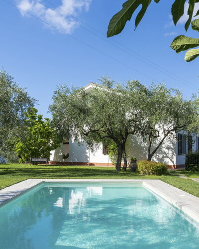 Diano Marina 626: Piscina, Propiedad, Bienes Raíces, Paisaje Natural, Casa, Inmuebles, Patio Interior, Casa, Barrio Residencial, Hierba