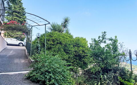 Pietra Ligure 612: Vegetación, Arbusto, Plantas Leñosas, Jardín, Sombra, Paisajismo, Entrada De Coches, Pasarela, Camino