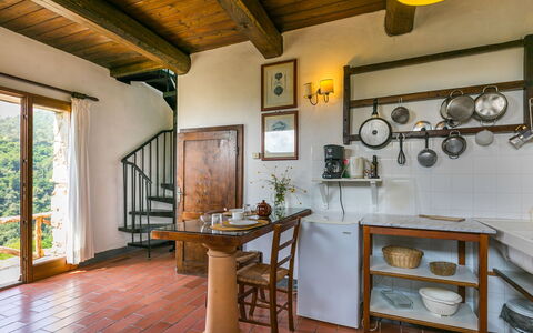 Alojamiento:&nbsp;Podere Cima a Zano Apt.fienile Pca107 626.7