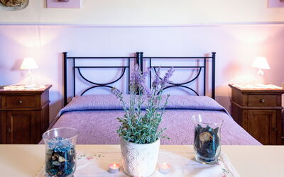 Alojamiento:&nbsp;Monolocale - Ranch Hotel 614.1