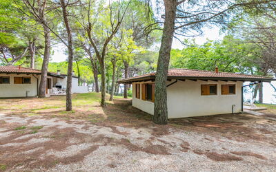 Alojamiento:&nbsp;Belvedere Pineta Camping Village 653.2