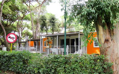Alojamiento:&nbsp;Ischia 602.1