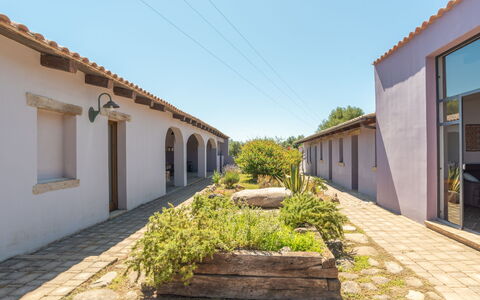 Oliviola: Cielo, Planta, Ventana, El Terreno Del Lote, Superficie De La Carretera, Edificio, Árbol, Pared, Hierba, Fachada