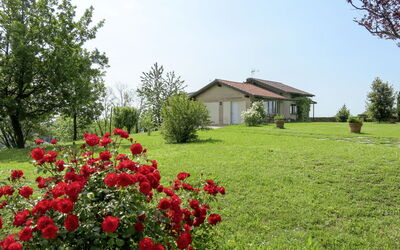 Le Rose Rosse