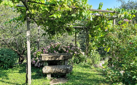 Casa Lienartova: Verde, Hoja, Jardín, Planta De La Comunidad, Sombra, Primavera, Cobertura Del Suelo, Yarda, Jardín Botánico