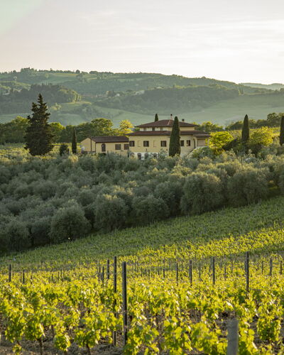 Podere San Michele: Planta, Sombra, Mueble Para Exteriores, Árbol, Arquitectura, Bienes Raíces, Ocio, Comodidad, Sunlounger, Tintes Y Sombras