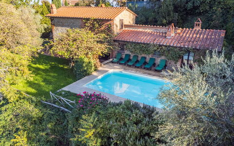 Belvedere: Planta, Agua, Piscina, Ventana, Edificio, Botánica, Árbol, Paisaje Natural, Rectángulo, Hierba