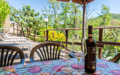 Vittorio: Mesa, Vajilla, Propiedad, Mueble, Cielo, Drinkware, Silla, Botella, Naturaleza, Árbol