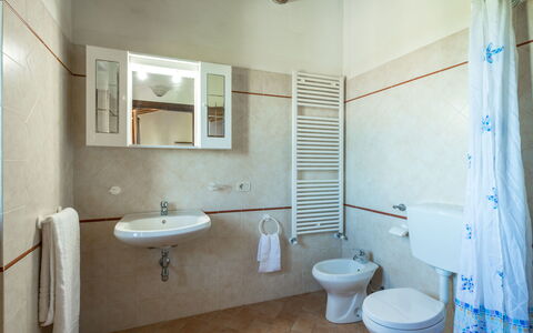 Alojamiento:&nbsp;Terrazza 602.3