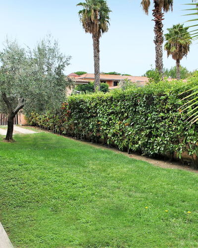 Barbie: Hierba, Césped, Verde, Vegetación, Propiedad, Árbol, Familia De Las Gramíneas, Palmera, Bienes Raíces, Planta