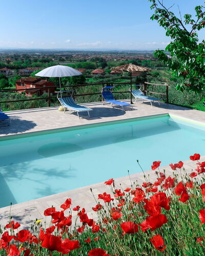 Agrumi: Agua, Flor, Planta, Cielo, Propiedad, Naturaleza, Azur, Piscina, Árbol, Pétalo