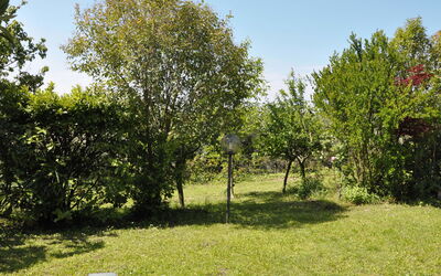 Rondinella