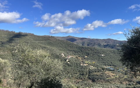 Valloria 602: Accidentes Geográficos Montañosas, Montaña, Vegetación, Colina, Tierras Altas, Ecorregión, Planta De La Comunidad, Paisaje, Desierto, Terreno