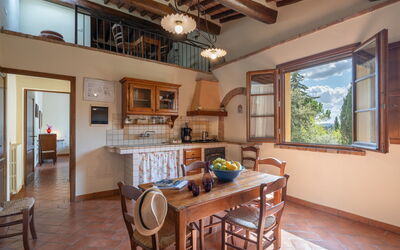 borghigiana-parrino-san-miniato-multiproperty-festa-kitchen