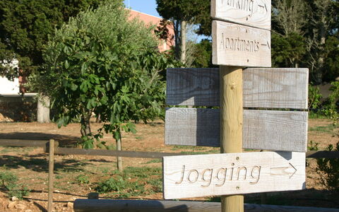 Tenuta Vigna Corallo: Pared, Árbol, El Terreno Del Lote, Paisaje, Señalización, Planta, Parque Nacional, Klippe, Parque Estatal, Firmar