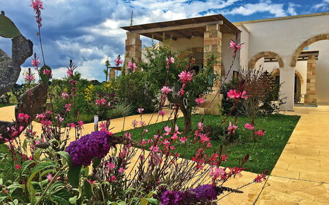 Tenuta Vigna Corallo: Flor, Jardín, Planta, Propiedad, Yarda, Casa, Cielo, Casa, Barrio Residencial, Botánica
