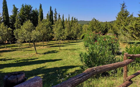 Villa Martina: Paisaje Natural, Naturaleza, Árbol, Entorno Natural, Desierto, Reserva Natural, Biome, Cerca, Bosque