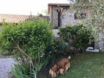 Agriturismo Cuiano