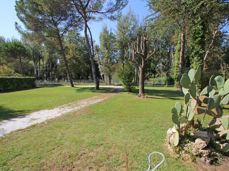 Garden view from the House