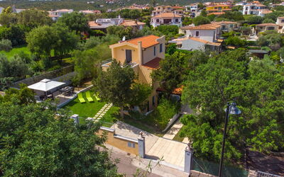 Pellicano
