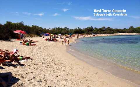 Villa Orchidea: Playa, Cielo, Vacaciones, Turismo, Oceano, Mar, Verano, Apuntalar