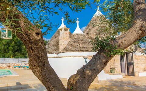 Trullo Del Mandarino: Árbol, Arquitectura, Pared, Plantas Leñosas, Edificio, Planta, Rama, Turismo, Casa, Ciudad