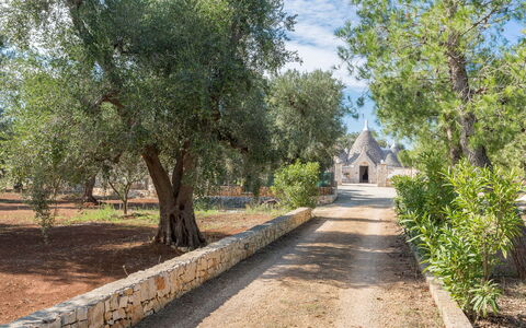 Trullo Suenn Con Piscina: Árbol, Propiedad, La Carretera, Vía Pública, Sendero, Paisaje, Planta, Pasarela, Bienes Raíces, Parque