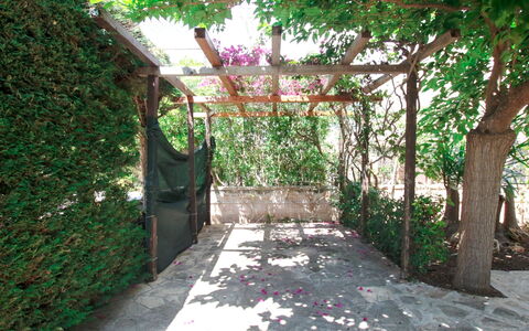 Villa Irene: Propiedad, Botánica, Árbol, Edificio, Pasarela, Jardín, Patio, Arquitectura, Planta, Patio Interior