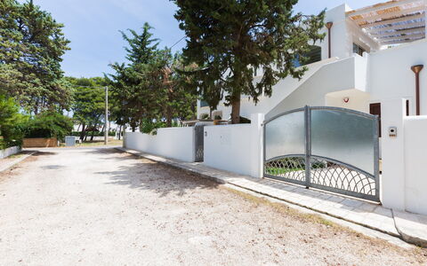 Casa Bianca: Propiedad, Bienes Raíces, Edificio, Casa, Arquitectura, Barrio Residencial, Casa, Árbol, Departamento, El Terreno Del Lote