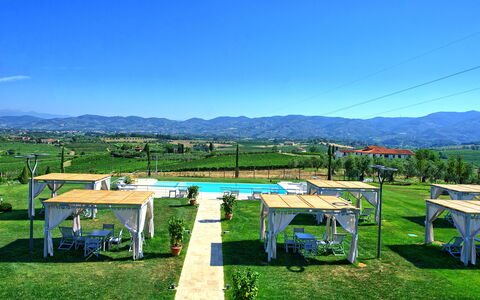 Il Sole Di Vino: Cielo, Verde, Propiedad, Hierba, Hill Station, Mesa, Montaña, Bienes Raíces, Casa, Área Rural