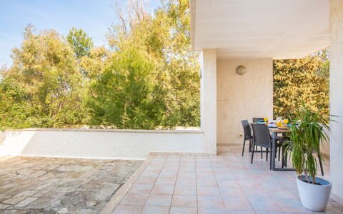 Villa Salento: Planta, Cielo, Maceta, Sombra, Madera, Suelo, Hierba, Piso, Superficie De La Carretera, Planta De Casa