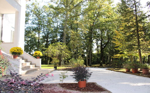 Villa La Casa Bianca: Propiedad, Casa, Árbol, Casa, Bienes Raíces, Yarda, Barrio Residencial, Paisajismo, Jardín, Paisaje