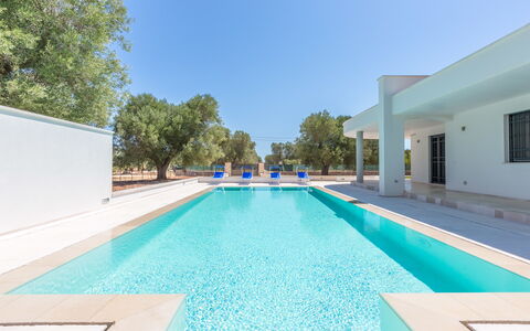 Villa Stella Cadente: Agua, Cielo, Edificio, Piscina, Azur, Árbol, Sombra, Rectángulo, Hierba, Ocio