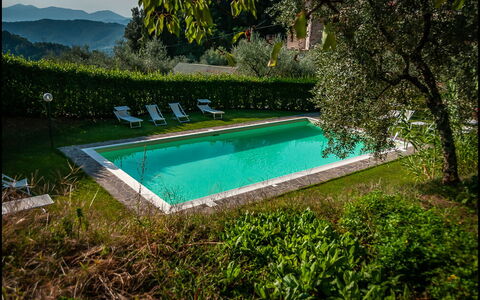 Orto Degli Olivi Proprietà: Piscina, Propiedad, Paisaje Natural, Hierba, Agua, Ocio, Casa, Árbol, Villa, Arquitectura