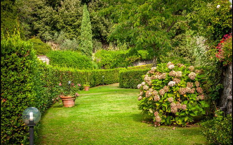 Orto Degli Olivi Proprietà: Jardín, Naturaleza, Césped, Árbol, Vegetación, Verde, Hierba, Arbusto, Paisaje Natural, Planta