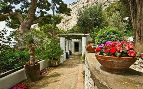 Villa Marina Little Beach: Planta, Flor, Propiedad, Maceta, Edificio, Botánica, Árbol, Vegetación, Planta De Casa, Bienes Raíces