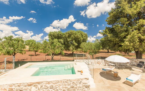 Trullo Del Pioppo Gigante: Nube, Cielo, Tiempo De Día, Propiedad, Planta, Árbol, Piscina, Sombra, Agua, El Terreno Del Lote