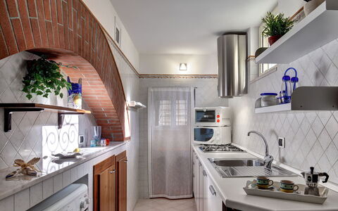 49 Little House: Gabinetes, Fregadero, Propiedad, Mostrador, Lavabo, Blanco, Planta, Edificio, Cocina, Planta De Casa