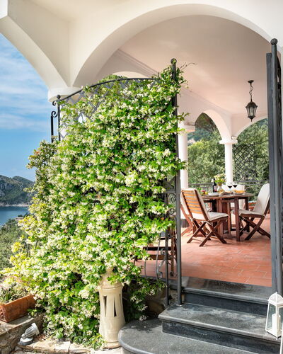 Medusa And The Seahorse Villa