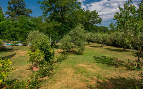 Elena: Árbol, Entorno Natural, Naturaleza, Hoja, Vegetación, Arbusto, Planta De La Comunidad, Pradera, Llanura, El Terreno Del Lote